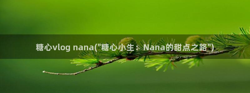 糖心vlog堕落