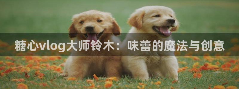 糖心vlog老版下载