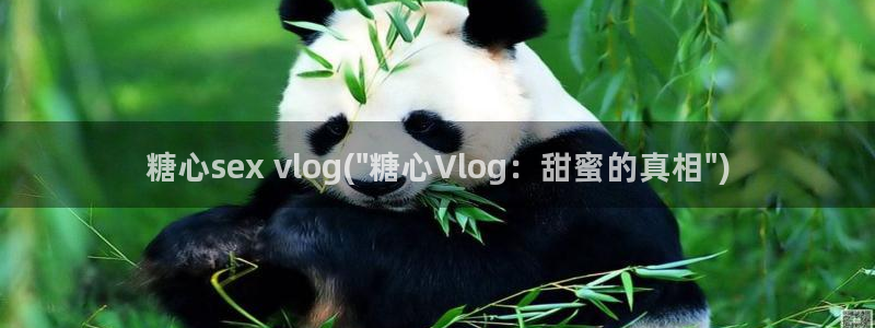 糖心vlog 鸡教练