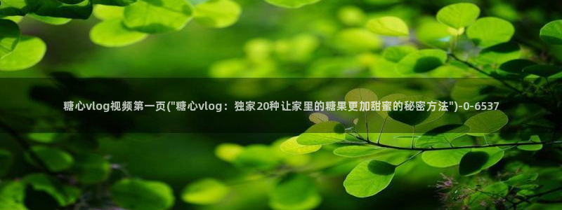 糖心vlog制片