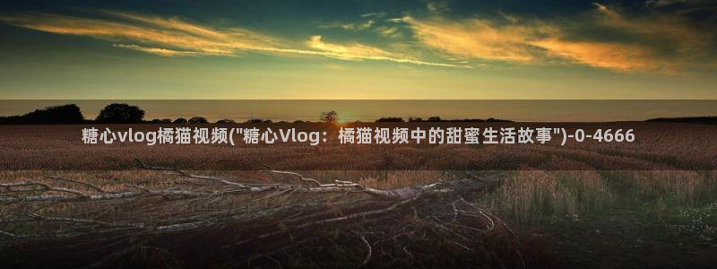黄糖心vlog污网站