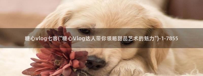 糖心vlog网站链接