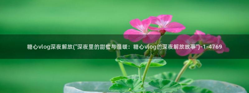 糖心唐伯虎vlog