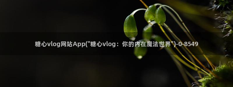 糖心vlog驯鹿