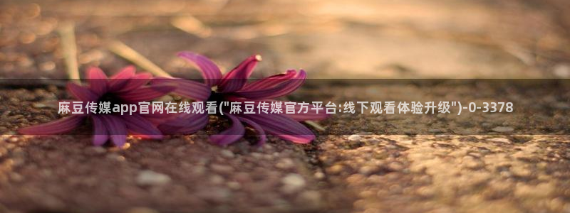 麻豆视频排行