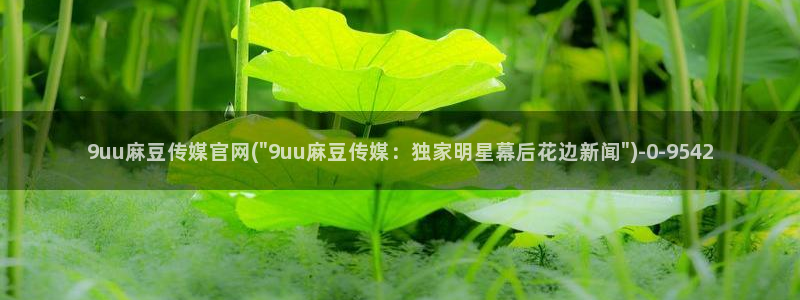 麻豆传媒新片
