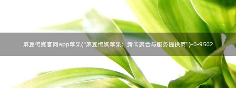 麻豆视频高流量词