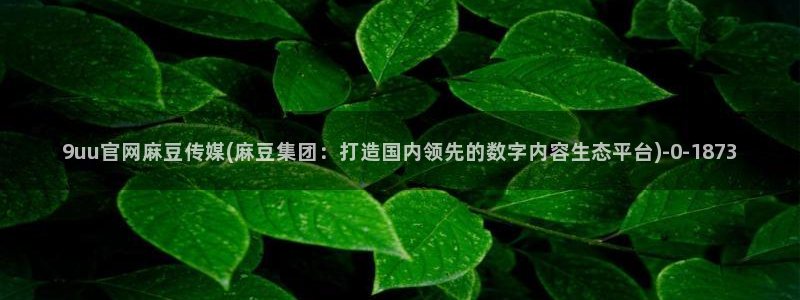 麻豆高清视频