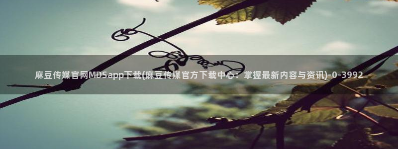麻豆视频合集文案