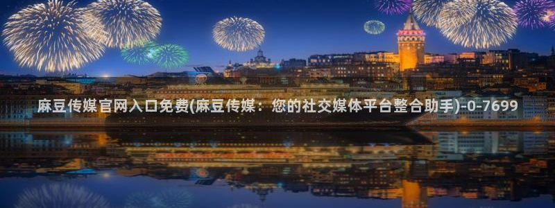 麻豆视频站内文案