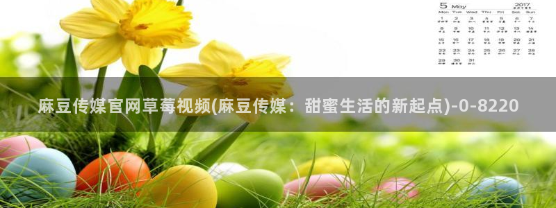 麻豆视频相关推荐