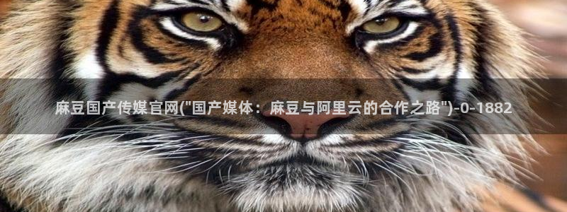 麻豆视频：麻豆国产传媒官网(\