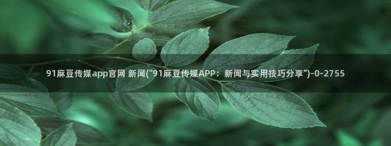 麻豆视频专题：91麻豆传媒app官网 新闻(\