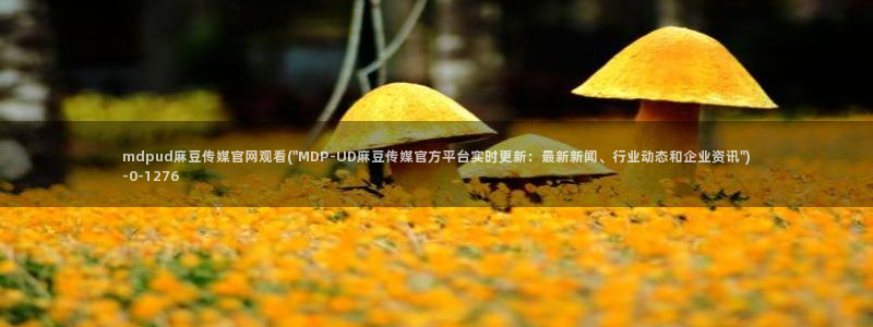 麻豆指南页