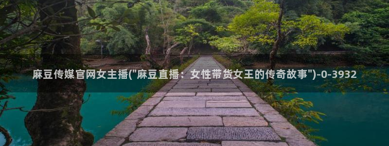 麻豆视频关于我们