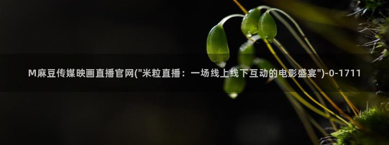 麻豆视频在线看