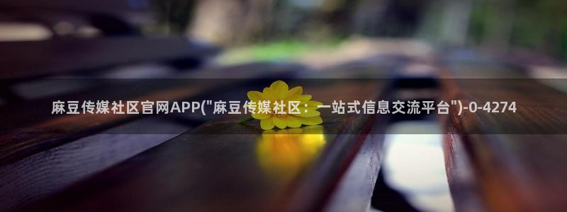麻豆视频联系页面