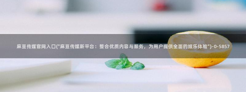麻豆视频关于我们
