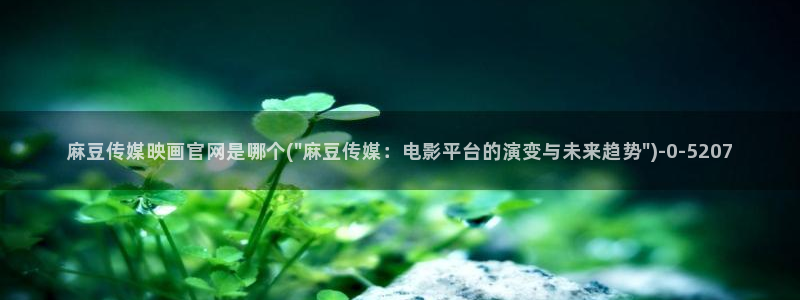 麻豆视频长尾词
