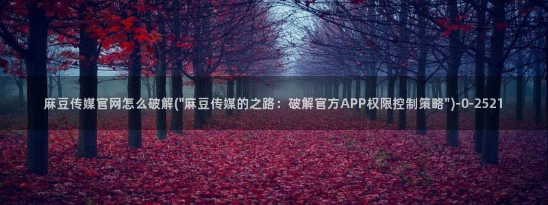 麻豆视频排名词