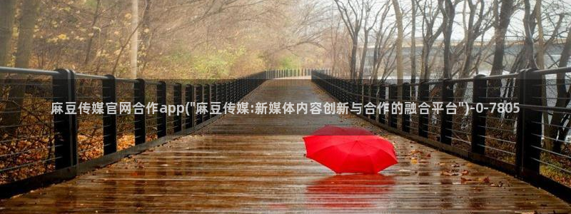 麻豆视频内链