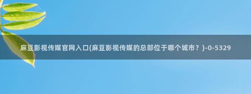 麻豆视频标签规划