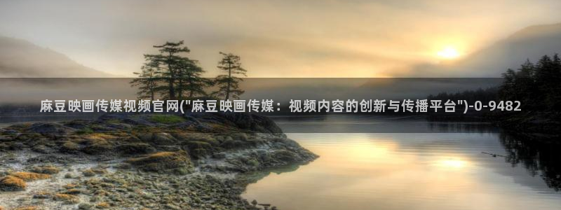 麻豆视频入口